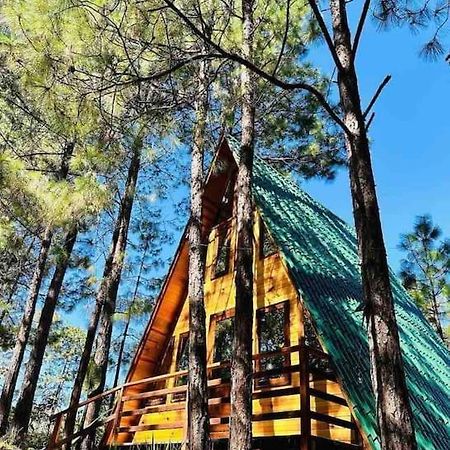 Cabana Nueva En El Bosque Y Cerca Al Rio Starlink Villa San Mateo Rio Hondo Exterior foto