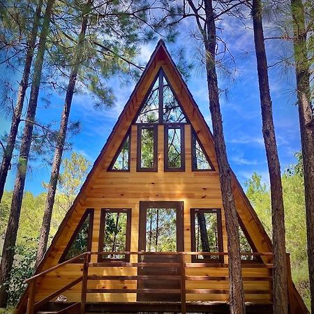 Cabana Nueva En El Bosque Y Cerca Al Rio Starlink Villa San Mateo Rio Hondo Exterior foto