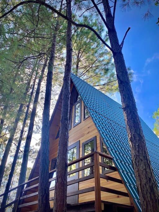 Cabana Nueva En El Bosque Y Cerca Al Rio Starlink Villa San Mateo Rio Hondo Exterior foto