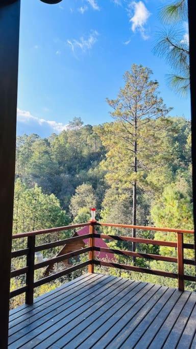 Cabana Nueva En El Bosque Y Cerca Al Rio Starlink Villa San Mateo Rio Hondo Exterior foto