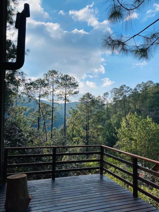 Cabana Nueva En El Bosque Y Cerca Al Rio Starlink Villa San Mateo Rio Hondo Exterior foto