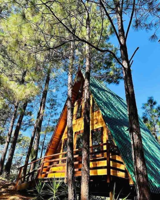 Cabana Nueva En El Bosque Y Cerca Al Rio Starlink Villa San Mateo Rio Hondo Exterior foto