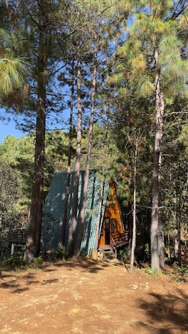 Cabana Nueva En El Bosque Y Cerca Al Rio Starlink Villa San Mateo Rio Hondo Exterior foto