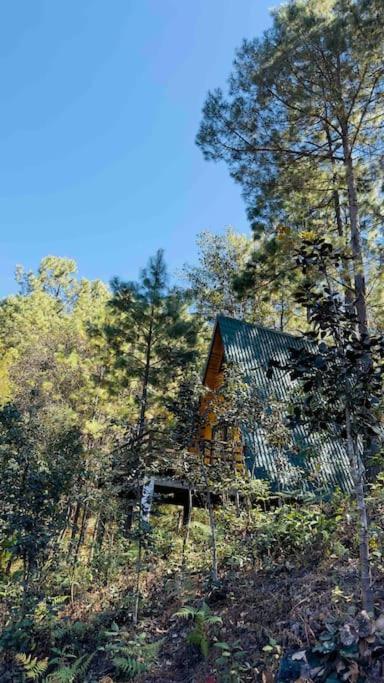 Cabana Nueva En El Bosque Y Cerca Al Rio Starlink Villa San Mateo Rio Hondo Exterior foto