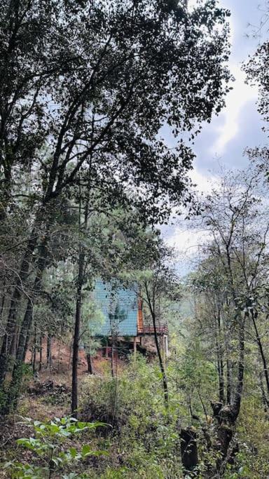 Cabana Nueva En El Bosque Y Cerca Al Rio Starlink Villa San Mateo Rio Hondo Exterior foto